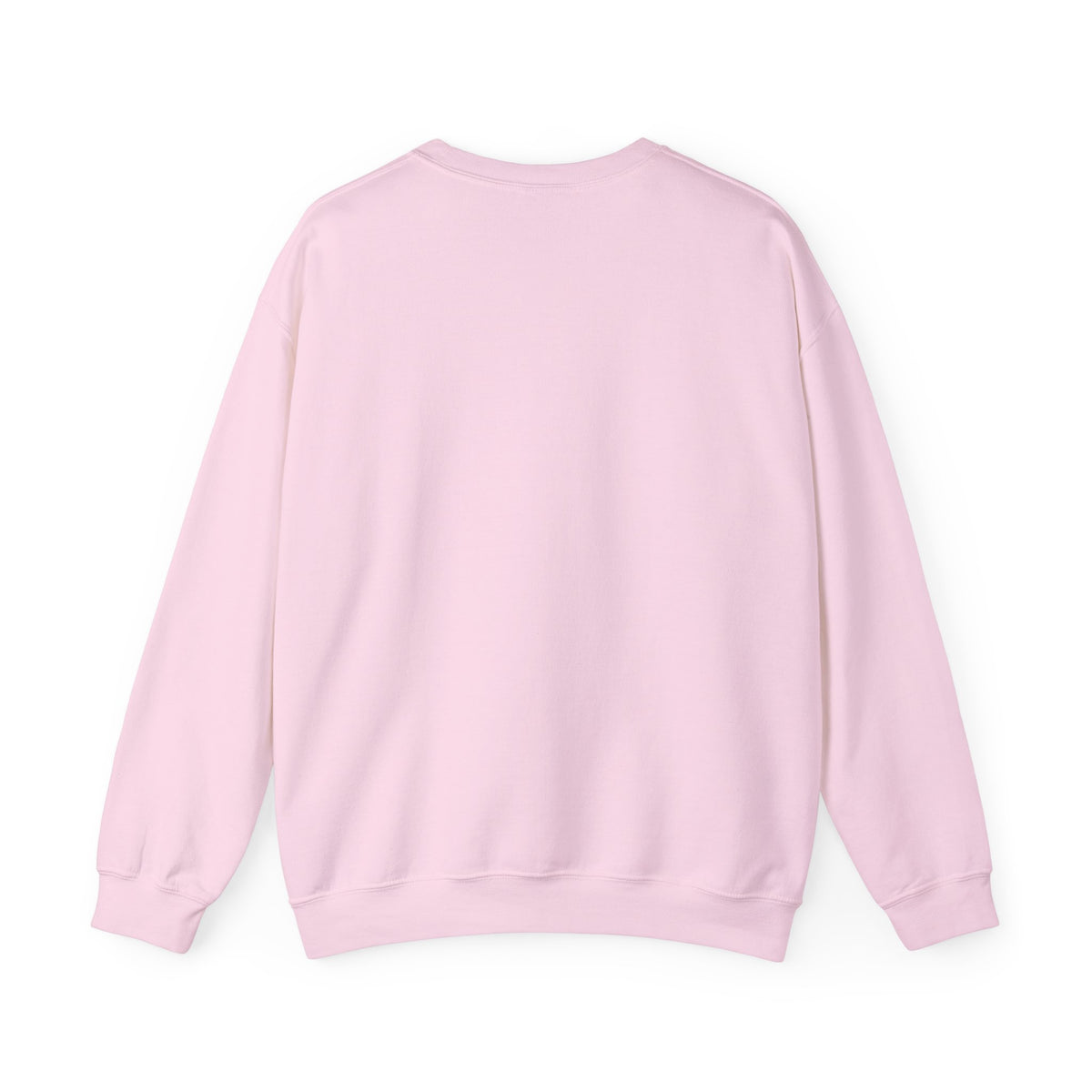 USER NOT FOUND / ARCHIVAL CREWNECK SWEATSHIRT