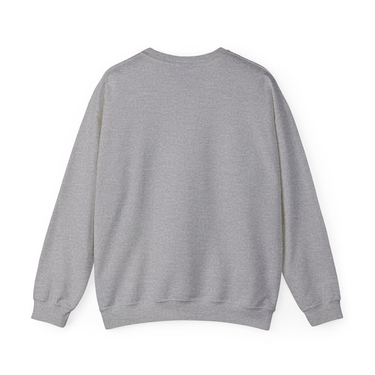 USER NOT FOUND / ARCHIVAL CREWNECK SWEATSHIRT