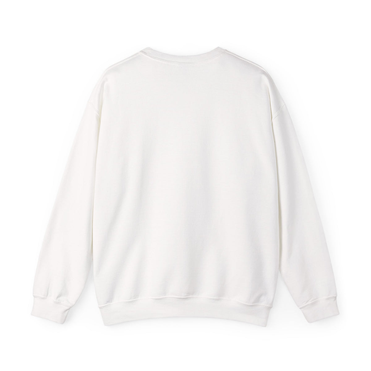 USER NOT FOUND / ARCHIVAL CREWNECK SWEATSHIRT