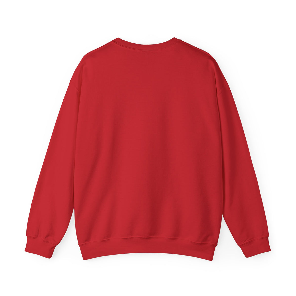 USER NOT FOUND / ARCHIVAL CREWNECK SWEATSHIRT
