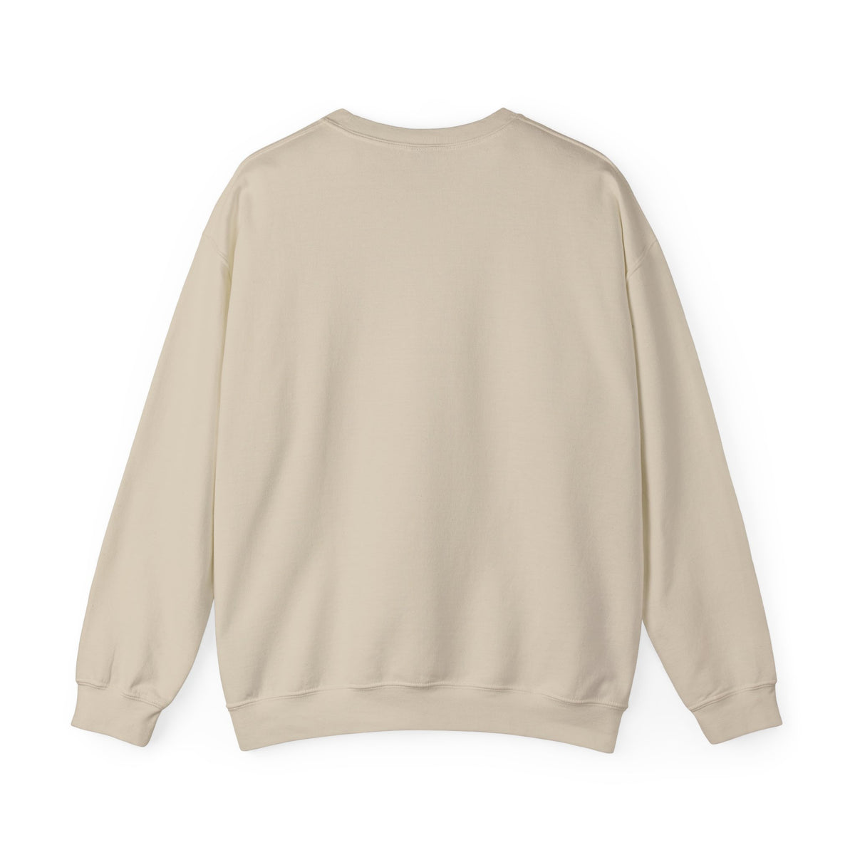 USER NOT FOUND / ARCHIVAL CREWNECK SWEATSHIRT